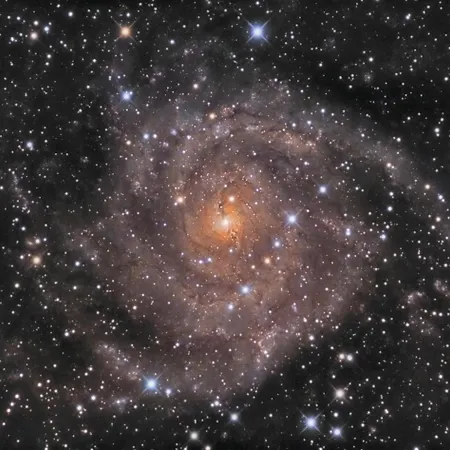 Apartment Et Astrotourisme En Corse *
