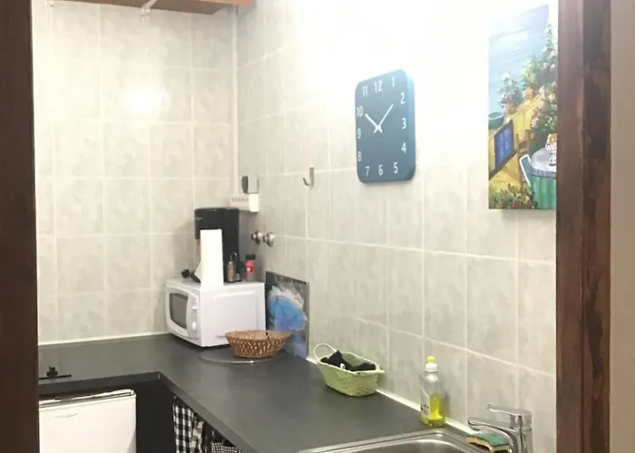 Appartement Et Astrotourisme En Corse Erbajolo